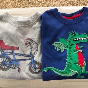 Hanna Andersson, Lot of 2 shirts, GUC